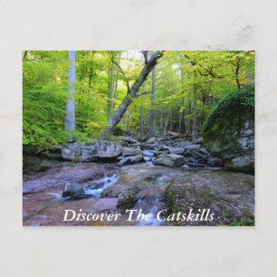 Discover the Catskills 5 Postcard
