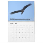 Discover Wildlife Wonders: 2025 Calendar