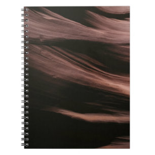 Discovery Notebook