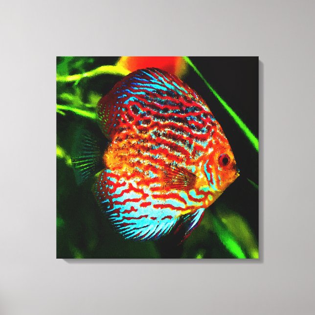 Discus aquarium fish canvas print (Front)