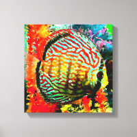 Discus aquarium fish canvas print