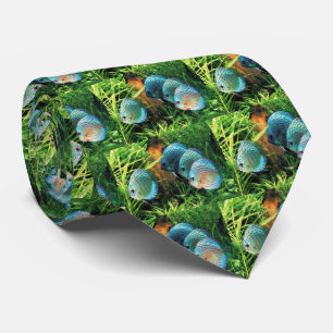 Discus Fish in aquatic plant aquqrium Tie