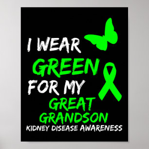 Disease I Wear Green For My Great Grandson Ribbon Poster