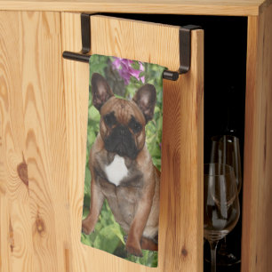 dishcloths kitchen towel