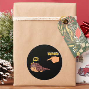 Dishonest Frog Funny Frog Meme Behave No Cartoon  Classic Round Sticker