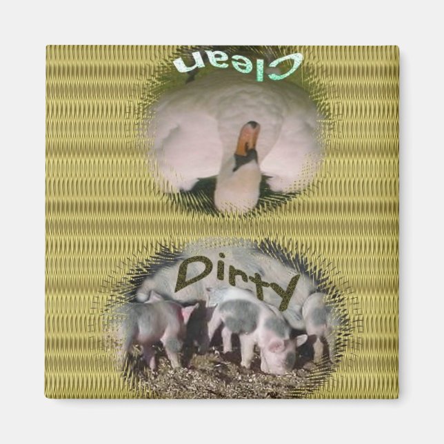 Dishwasher Magnet (Front)
