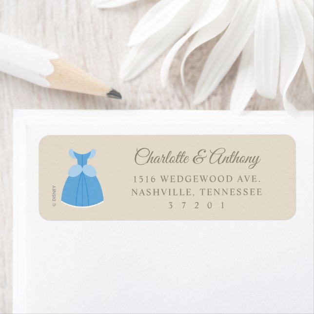 Disney Cinderella Dress | Girl Baby Shower  (Insitu)
