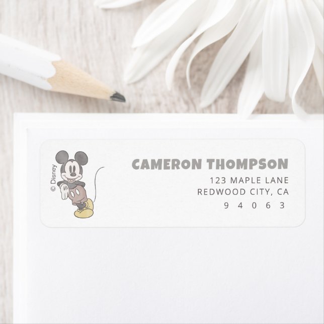 Disney Mickey Mouse Classic Baby Shower (Insitu)