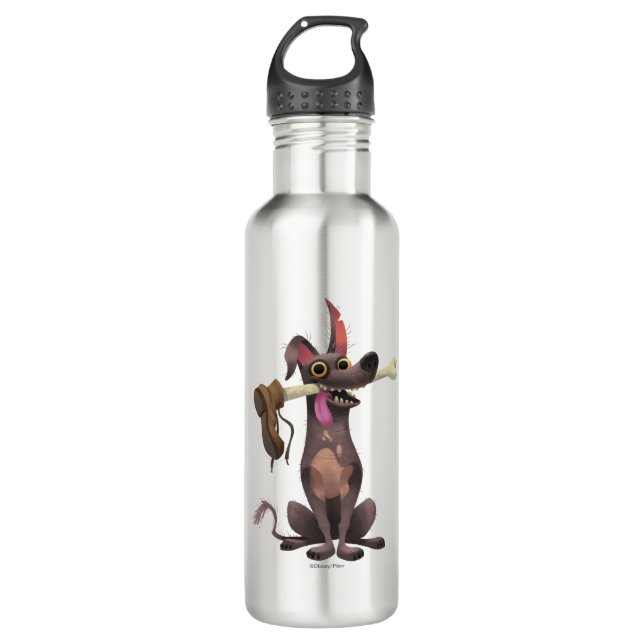Disney Pixar Coco | Dante | Funny Bone with Shoe 710 Ml Water Bottle (Front)