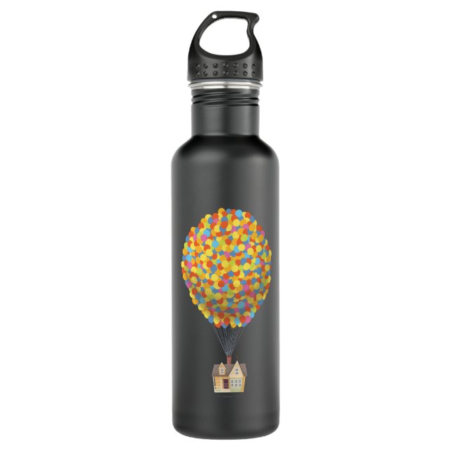 Disney Pixar UP | Balloon House Pastel 710 Ml Water Bottle (Front)