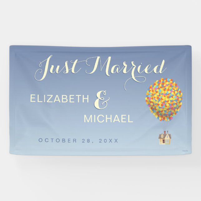 Disney Pixar Up Wedding | Just Married Banner (Horizontal)