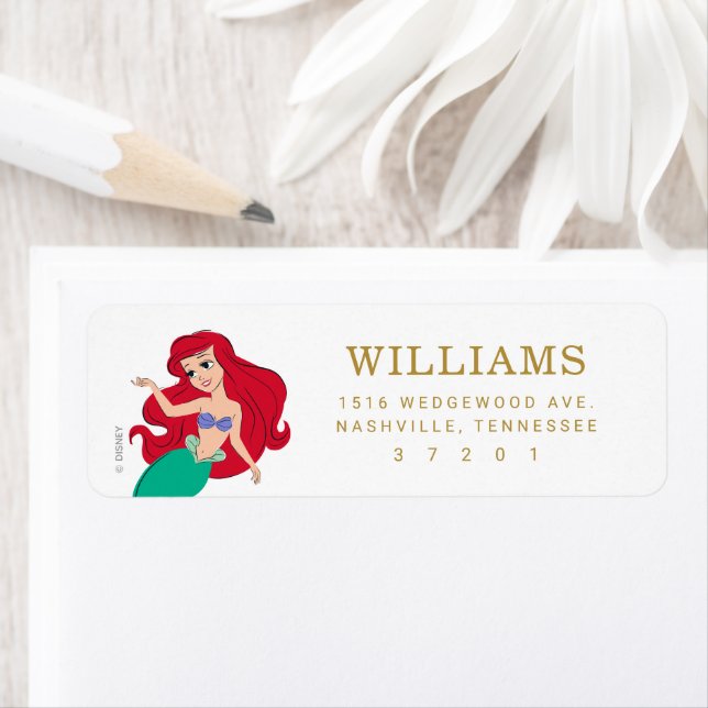 Disney Princess Ariel Birthday  (Insitu)