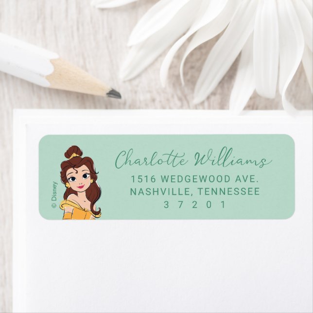 Disney Princess Belle Anniversaire (En situation)