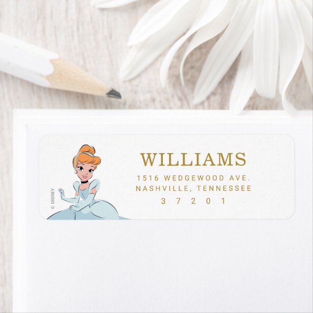Disney Princess Cinderella Birthday  (Insitu)