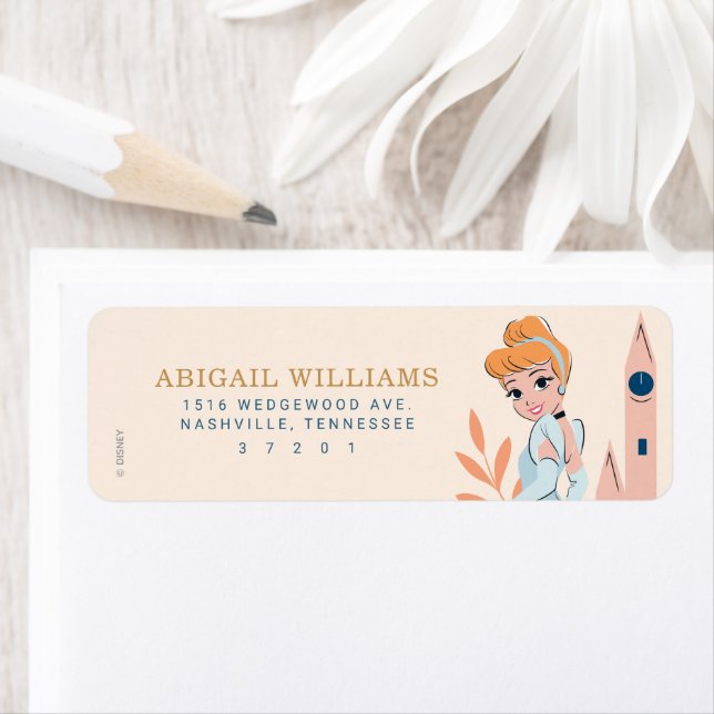 Disney Princess Cinderella Rose Anniversaire (En situation)