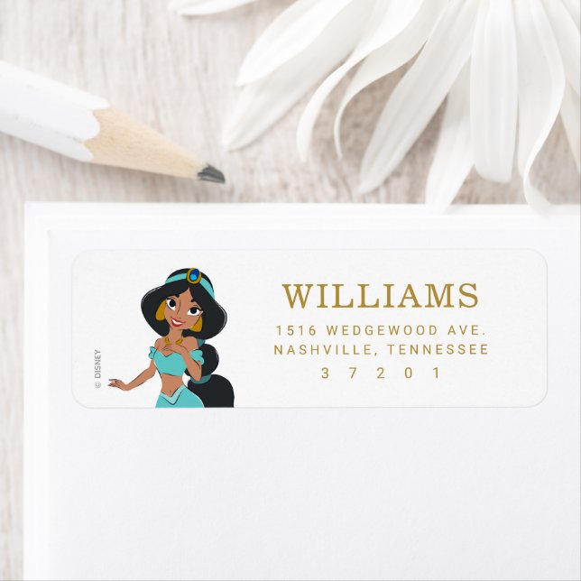 Disney Princess Jasmine Birthday  (Insitu)
