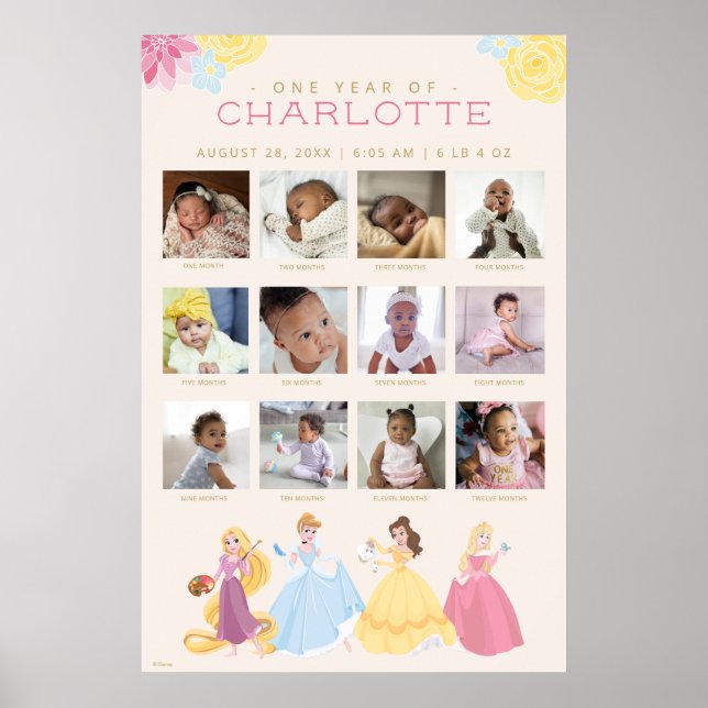 Disney Princess  | One Year of - 12 Months Poster (Front)