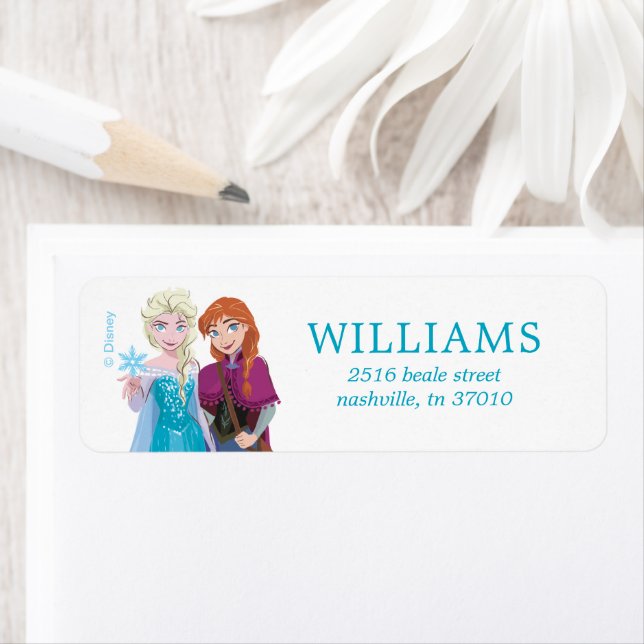 Disney's Elsa from Frozen Welcome Girls Birthday  (Insitu)