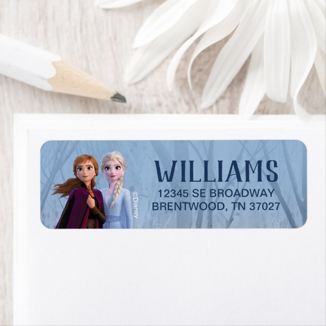 Disney's Frozen 2 - Anna & Elsa (En situation)