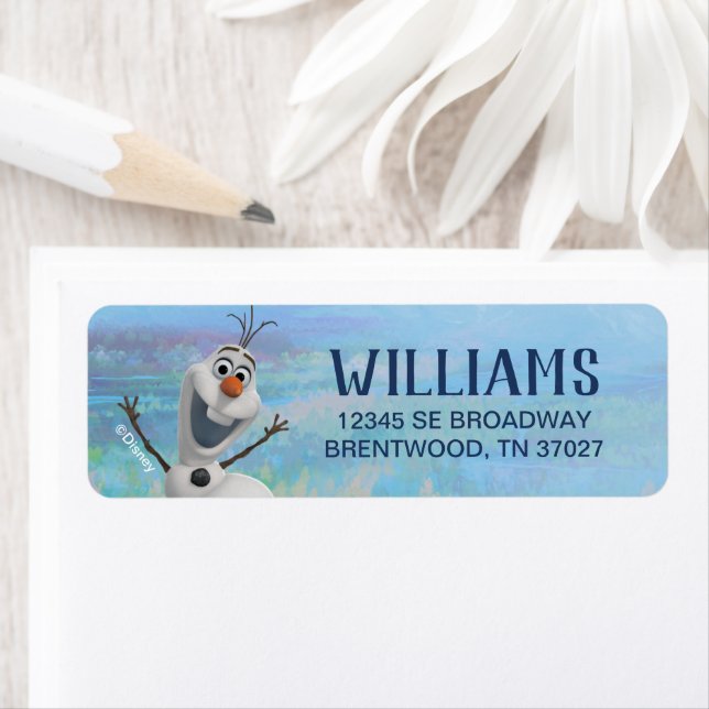 Disney's Frozen 2 - Olaf (Insitu)