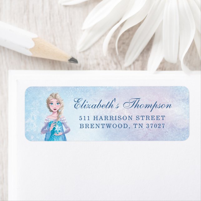 Disney's Frozen Elsa Birthday  (Insitu)