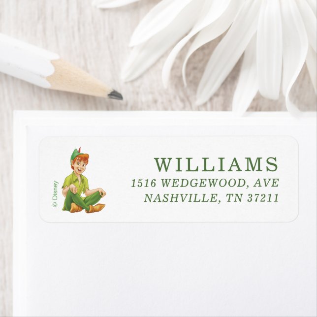 Disney's Peter Pan's Neverland Birthday (Insitu)