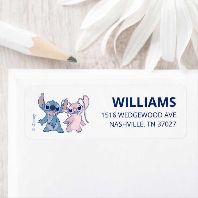 Disney's Stitch | Twin Boy & Girl Baby shower (En situation)