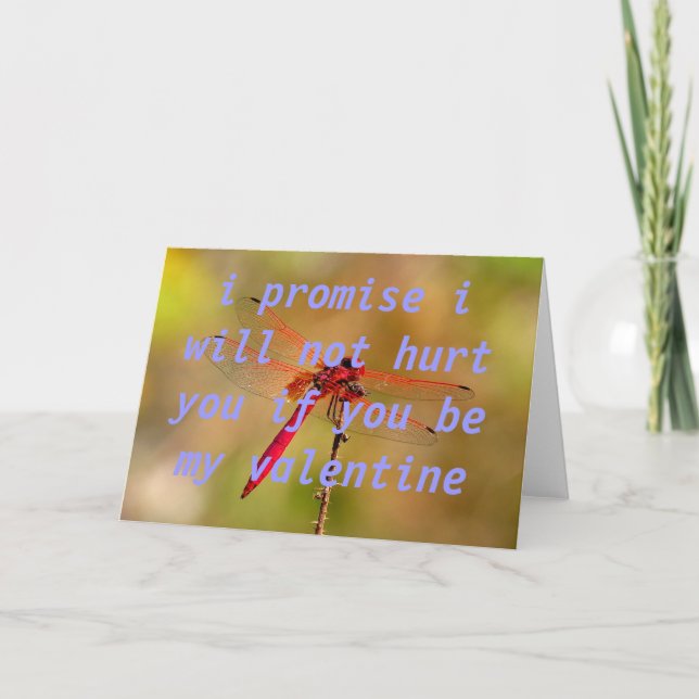 dispel myths holiday card (Front)