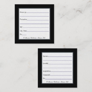 Display Cards for Fossil & Mineral Collections