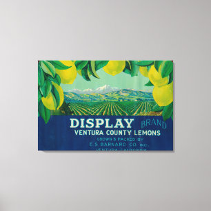 Display Lemon LabelVentura, CA Canvas Print