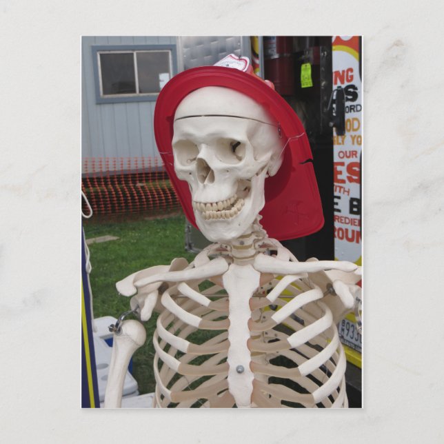 Display Skeleton Postcard (Front)