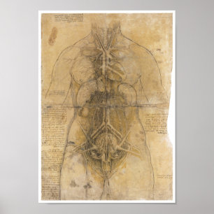Dissection of the organs of a woman, Da Vinci Poster