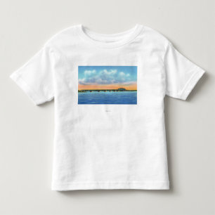 Distant Lake View of the New Bridge Toddler T-shirt