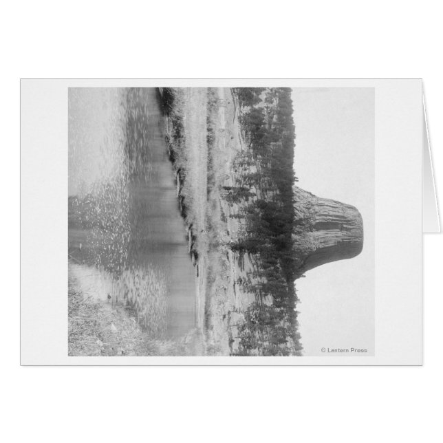 Distant View of Devil's Tower with Water in the (Front Horizontal)