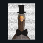 Distinguished Goose 2 Postcard<br><div class="desc">Pets</div>