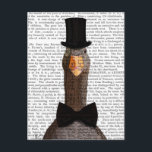 Distinguished Goose 2 Postcard<br><div class="desc">Pets</div>