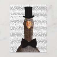Distinguished Goose 2