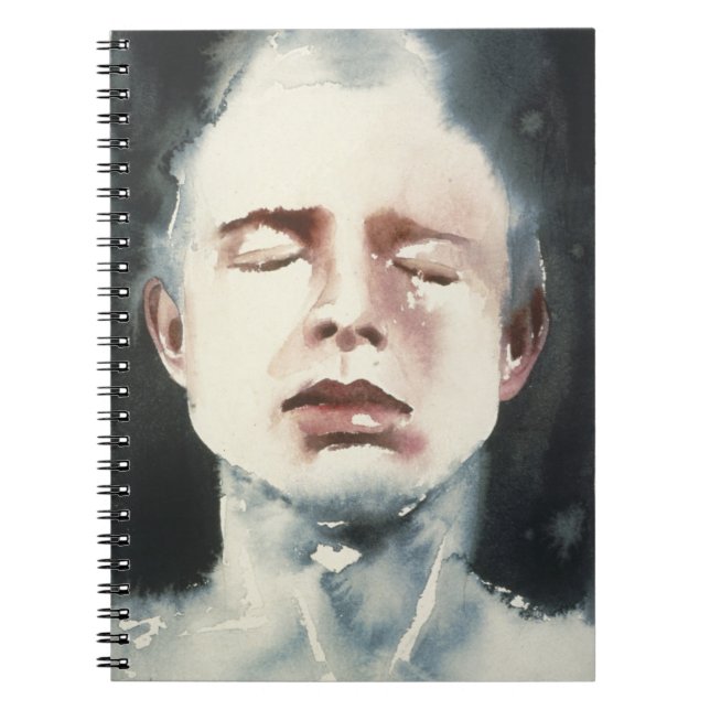Distinguishing Marks 4 Notebook (Front)