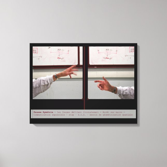 Distort Symmetry Fausse Symetrie Canvas (Front)