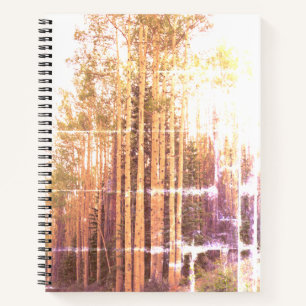 Distressed Aspen Grove Notebook