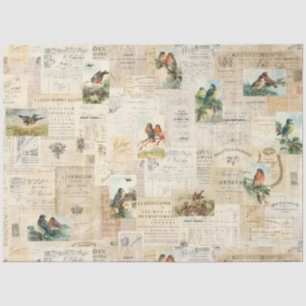 Distressed Birds & Document Ephemera Tissue Paper