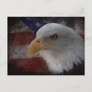 Distressed Eagle And Flag Postcard