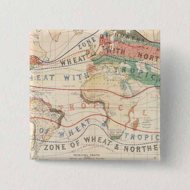 Distribution plants 2 inch square button (Front)