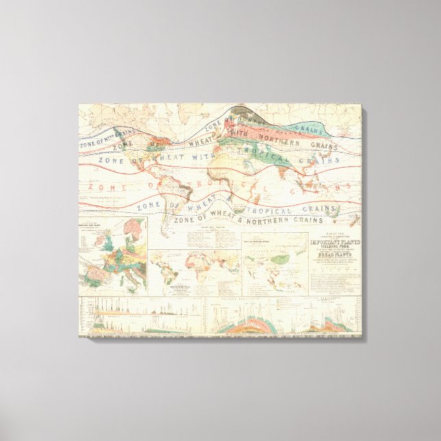 Distribution plants canvas print (Front)