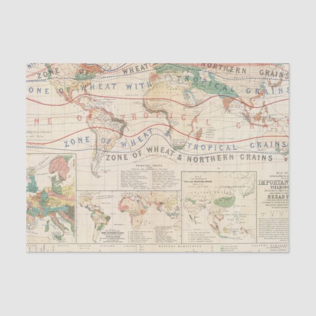 Distribution plants tissue paper (Front)