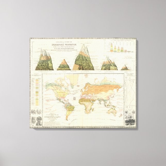 Distribution vegetation canvas print (Front)