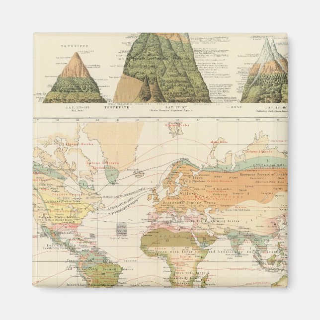 Distribution vegetation magnet (Front)