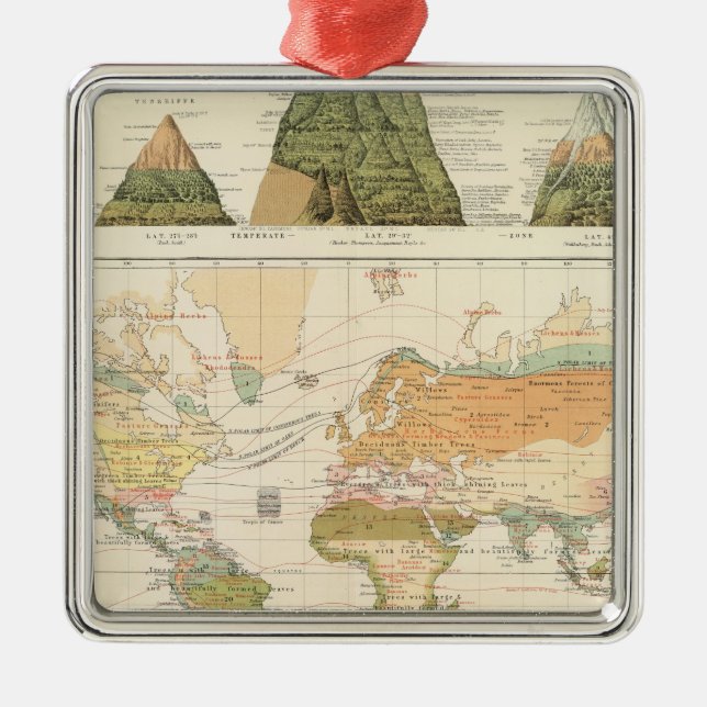 Distribution vegetation metal ornament (Front)