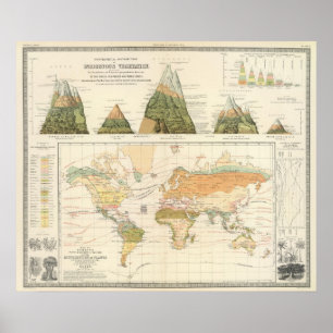 Distribution vegetation poster