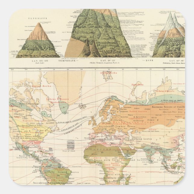 Distribution vegetation square sticker (Front)